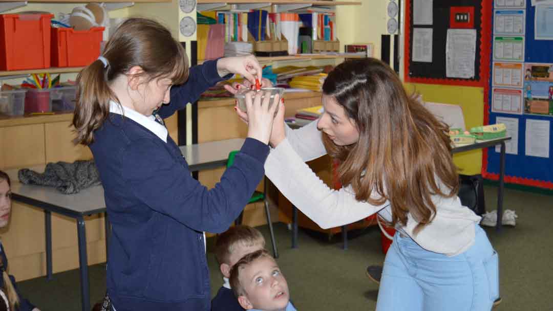From university to classroom — science communication training enables an undergraduate student to confidently present a science show to Year 5 pupils.